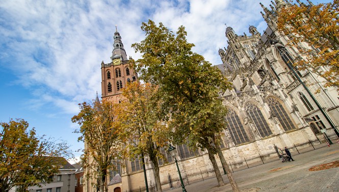 Sint-Janskathedraal